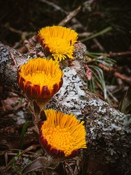 20250322_110925 (1).jpg