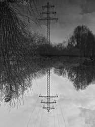 20250322_104953.jpg