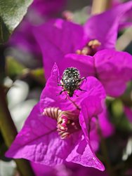 IMG_20250325_104556.jpg