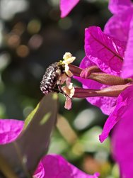 IMG_20250325_105639.jpg