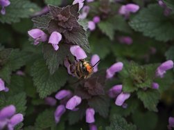 IMG_20250325_123431.jpg