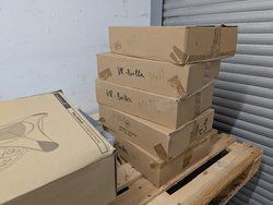 PXL_20250325_134916832.jpg