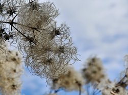 IMG20250325133934-EDIT.jpg