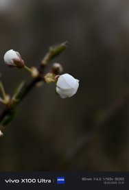 IMG_20250325_123135.jpg
