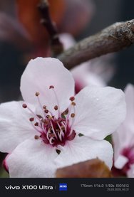 IMG_20250325_063116.jpg