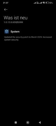 Screenshot_2025-03-25-21-27-24-762_com.android.updater.jpg