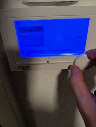 PXL_20250326_000928745.jpg
