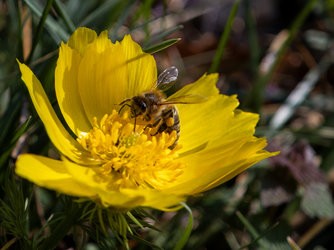 IMG_20250326_085405-Topaz.jpg