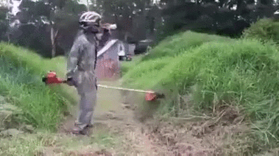 giphy.gif