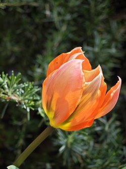 IMG_20250326_144749.jpg