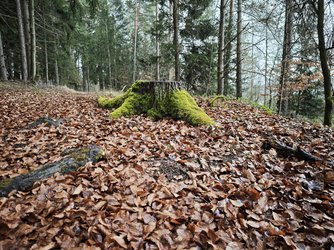 Blindtest B (7).jpg