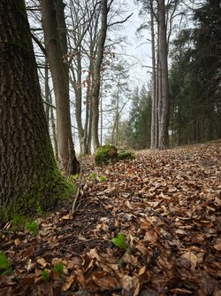 Blindtest B (5).jpg