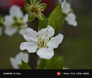 IMG_20250326_162622.jpg