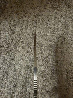 20250326_194757.jpg
