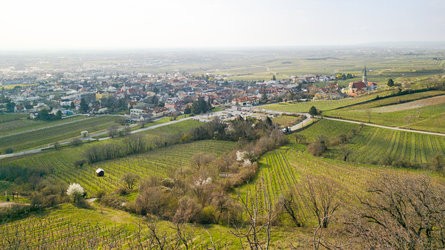IMG_20250326_091728-Topaz.jpg