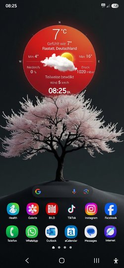 Screenshot_20250325_082559_One UI Home.jpg