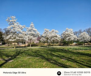 Gcam20250327_131113126.jpg