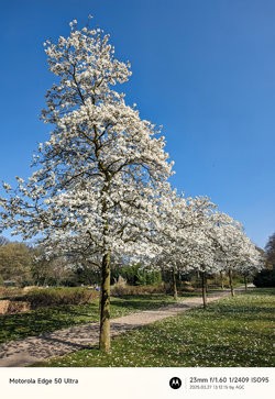 Gcam20250327_131215122.jpg