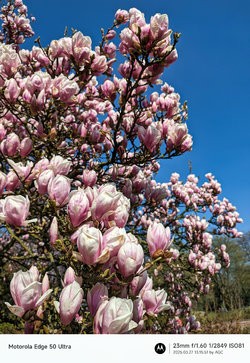 Gcam20250327_131551868.jpg