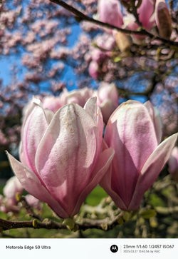 Gcam20250327_134356026.jpg