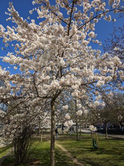 Gcam2 27032025_142827036.jpg