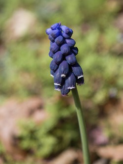 IMG_20250326_083525-Verbessert-RR.jpg
