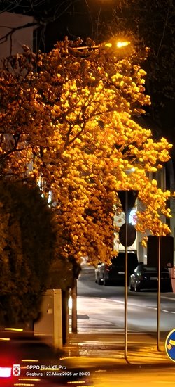 IMG20250327200929.jpg