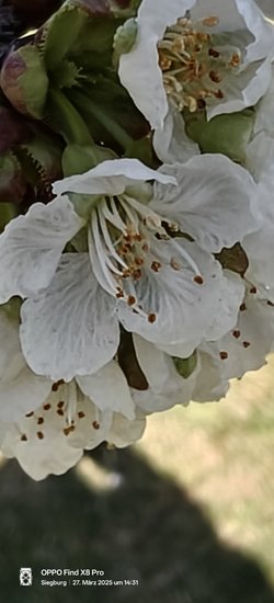 IMG20250327143125.jpg