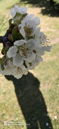 IMG20250327143119.jpg