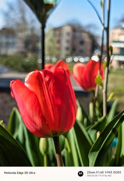 Gcam20250328_111727071.jpg