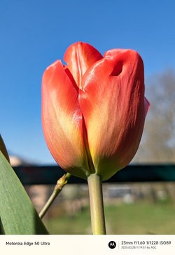 Gcam20250328_111957884.jpg