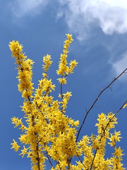 IMG_20250328_122656185.jpg