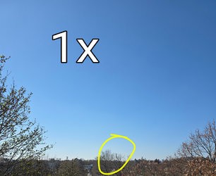 20250328_133110.jpg