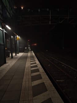 IMG_20250328_034951.jpg