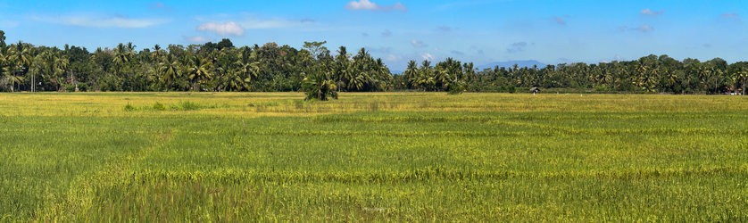 SriLanka_iPhone-12.jpg