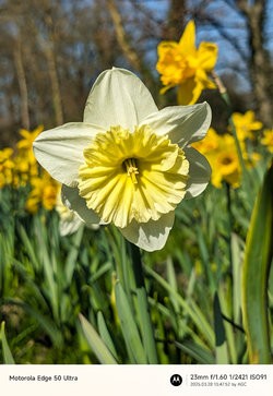 Gcam20250328_134752263.jpg