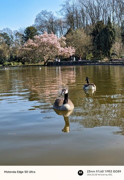 Gcam20250328_141354026.jpg