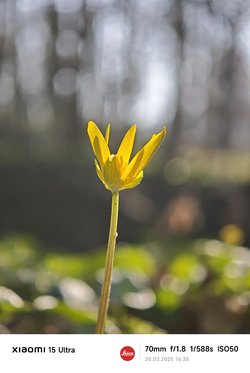IMG_20250328_163830.jpg