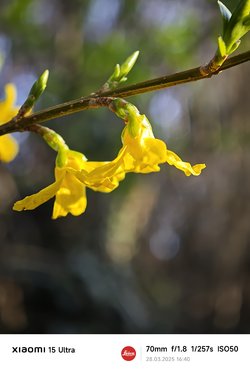 IMG_20250328_164014.jpg