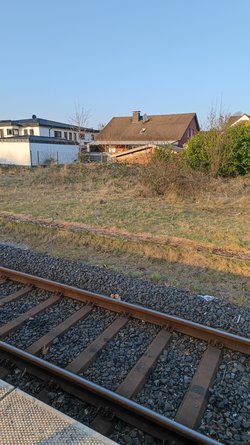 IMG_20250328_175105.jpg