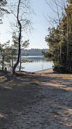 PXL_20250328_160720303.jpg