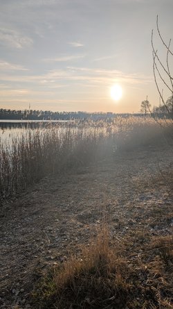 PXL_20250328_164904976.jpg