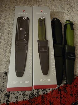 20250328_191253.jpg
