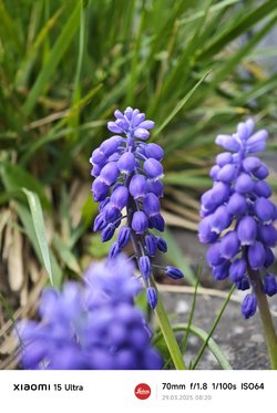 IMG_20250329_082056.jpg