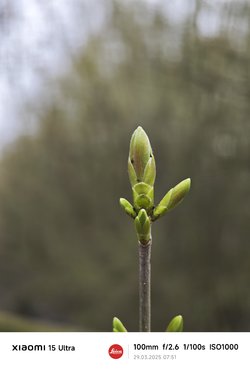 IMG_20250329_075128.jpg