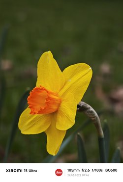 IMG_20250329_074653.jpg