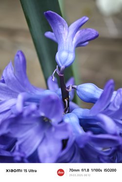 IMG_20250329_081237.jpg