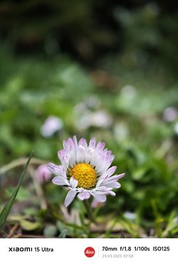 IMG_20250329_075819.jpg