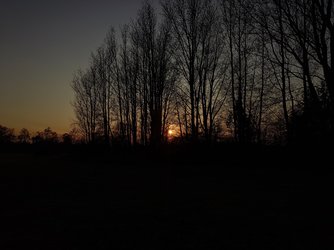 20250323_180248.JPG