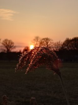 20250323_181652.JPG
